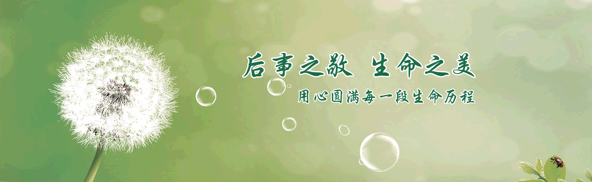 首页头部幻灯片2