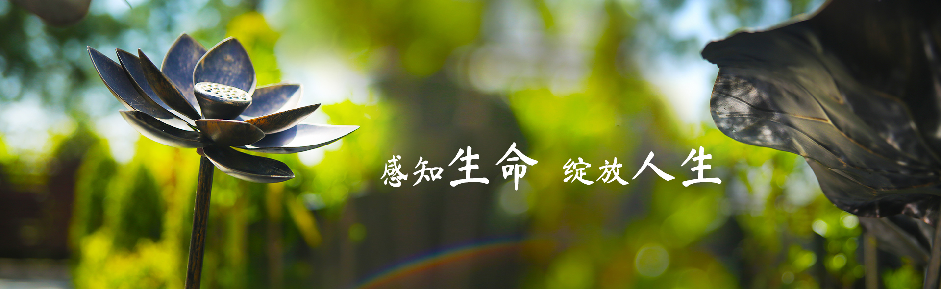 首页头部幻灯片1